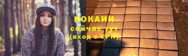дживик Баксан
