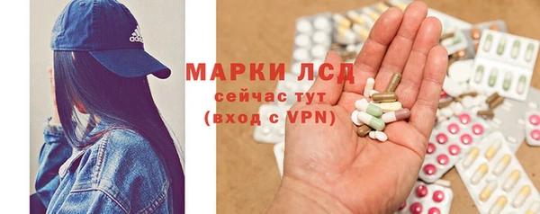 дживик Баксан